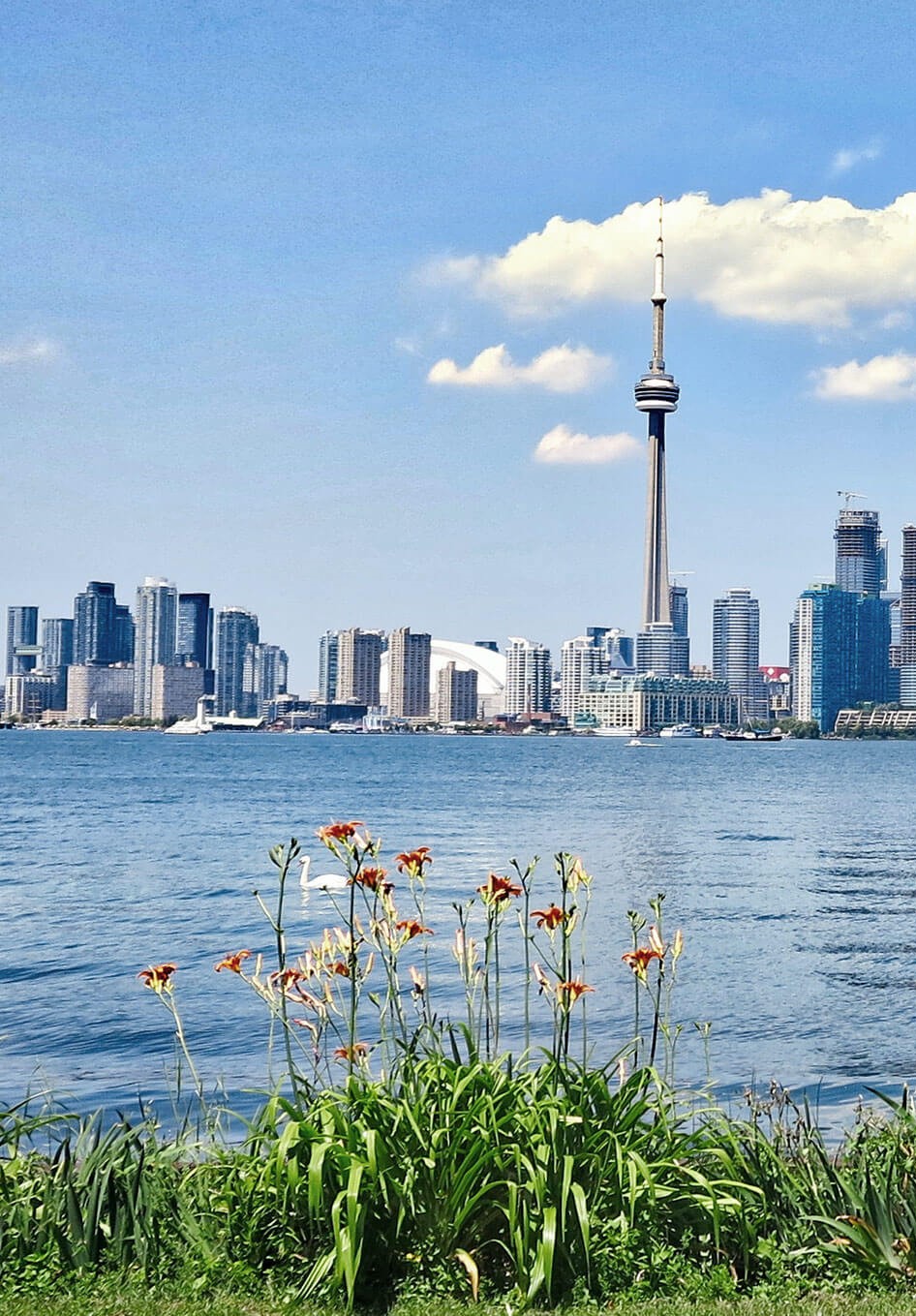 After - Vibrant, color-corrected landscape